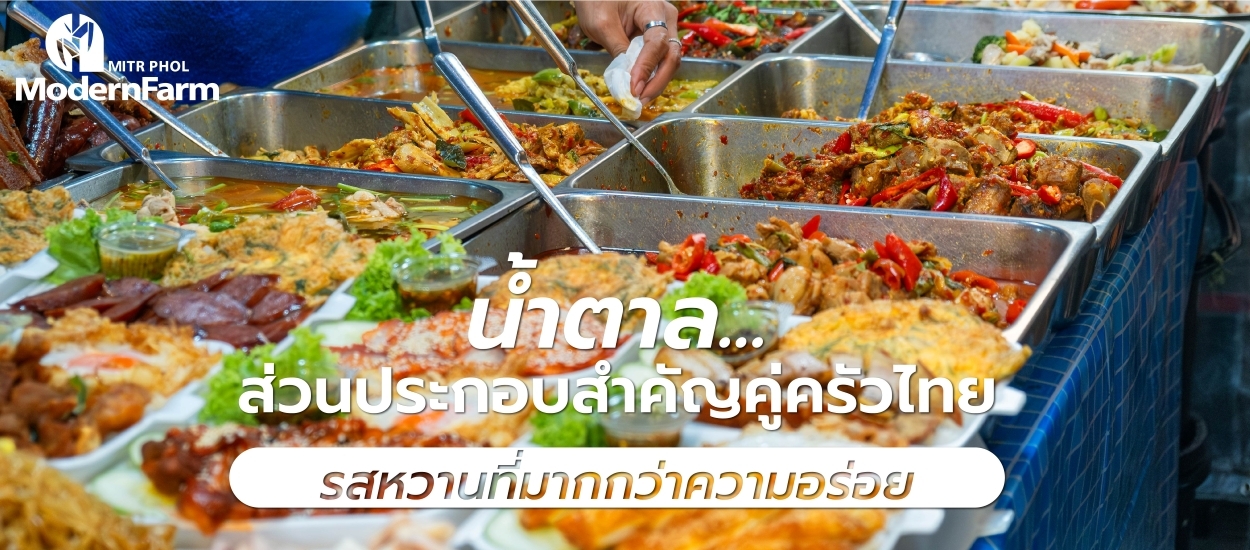 น้ำตาล…ส่วนประกอบสำคัญคู่ครัวไทย รสหวานที่มากกว่าความอร่อย