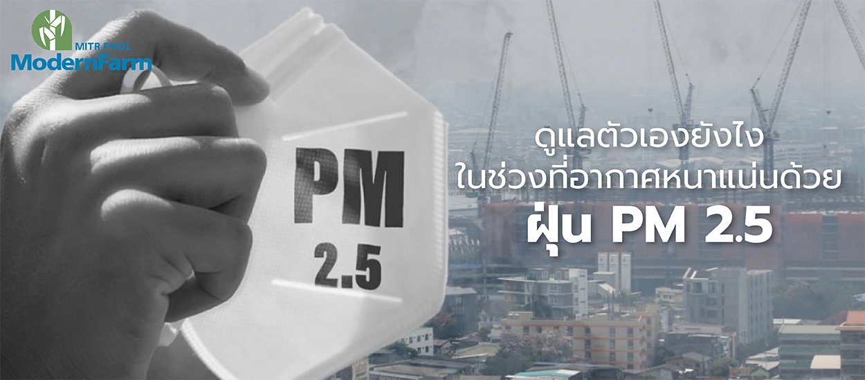 ดูแลตัวเองยังไงในช่วงที่อากาศหนาแน่นด้วย ฝุ่น PM 2.5