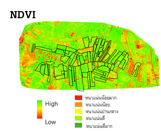 NDVI.jpg