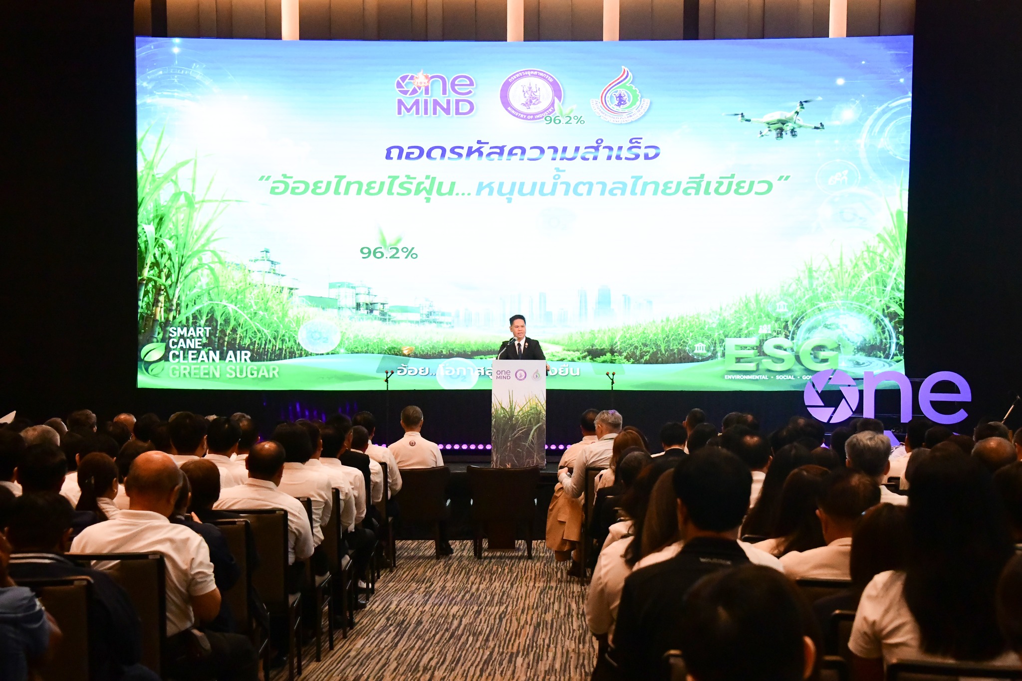 2_น้ำตาลสีเขียว 1.jpg