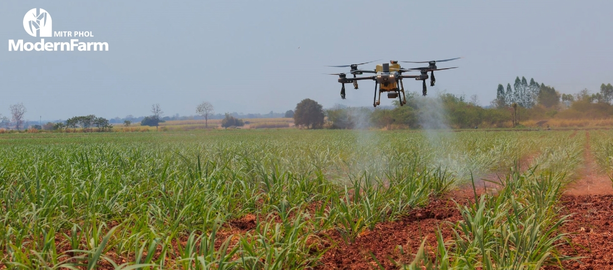 การใช้ปุ๋ยและสารชีวภาพอย่างมีประสิทธิภาพ เพื่อการผลิตอ้อยอย่างยั่งยืน