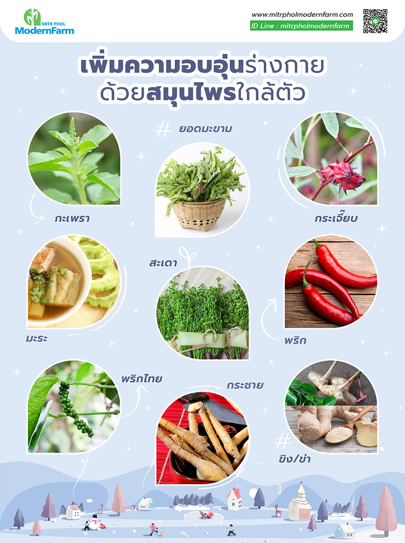 เพิ่มความอบอุ่น-003.jpg