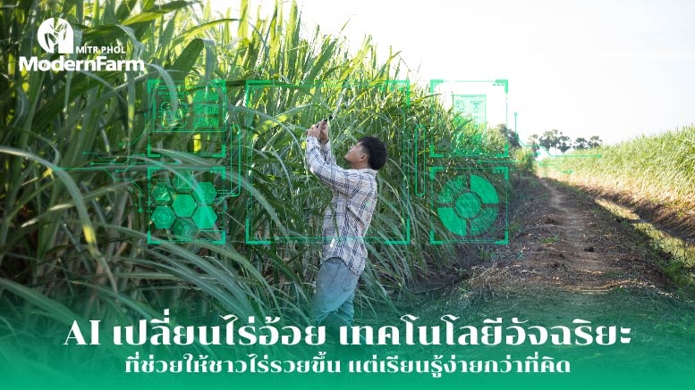 AI เปลี่ยนไร่อ้อย เทคโนโลยีอัจฉริยะที่ช่วยให้ชาวไร่รวยขึ้น เรียนรู้ง่ายกว่าที่คิด
