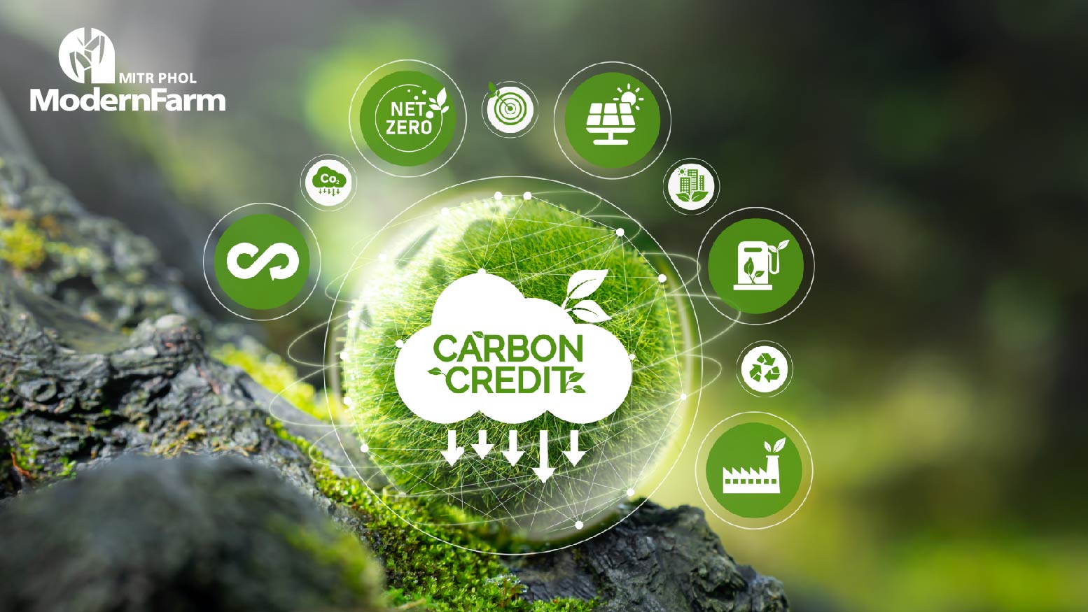 Carbon Credit กับเกษตรกรยุคใหม่ โอกาสใหม่ของการทำเกษตรอย่างยั่งยืน