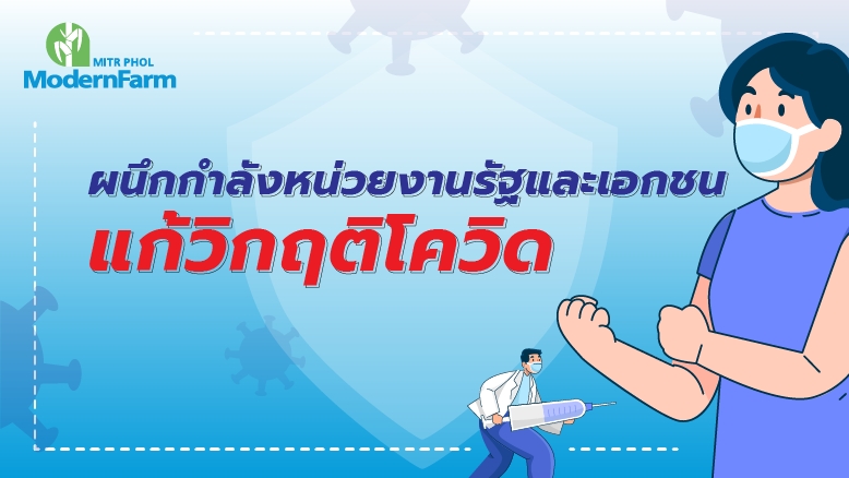 มิตรผล ร่วมผนึกกำลังหน่วยงานรัฐและเอกชน แก้วิกฤติโควิด จัดหา-ฉีดวัคซีน