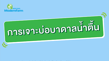 การเจาะบ่อบาดาลน้ำตื้น