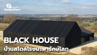 Black House บ้านสไตล์โรงนาพารักษ์โลก