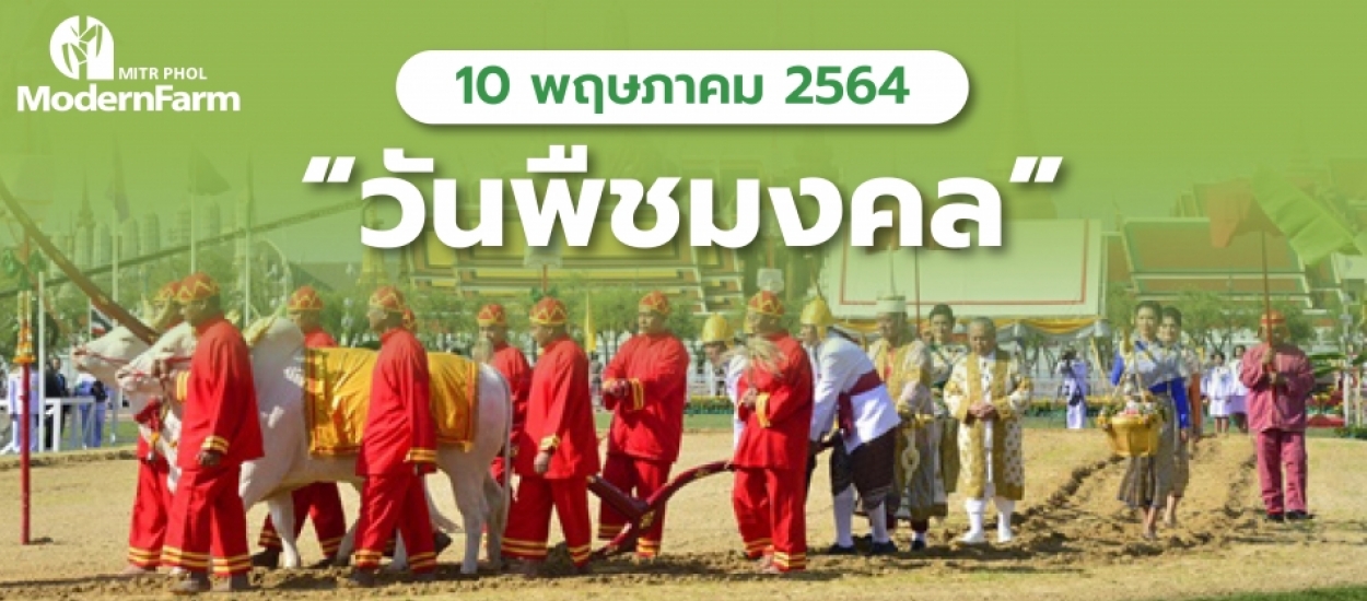 วันพืชมงคล วันเกษตรกรไทย ระลึกถึงความสำคัญของเกษตรกรรมในเศรษฐกิจของไทย