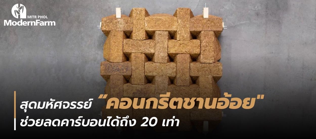 สุดมหัศจรรย์ คอนกรีตชานอ้อย ช่วยลดคาร์บอนได้ถึง 20 เท่า