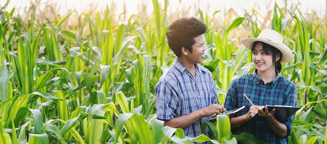 โครงการทุนปริญญาตรีเพื่อเกษตรกรรุ่นใหม่ (Smart Farmer)