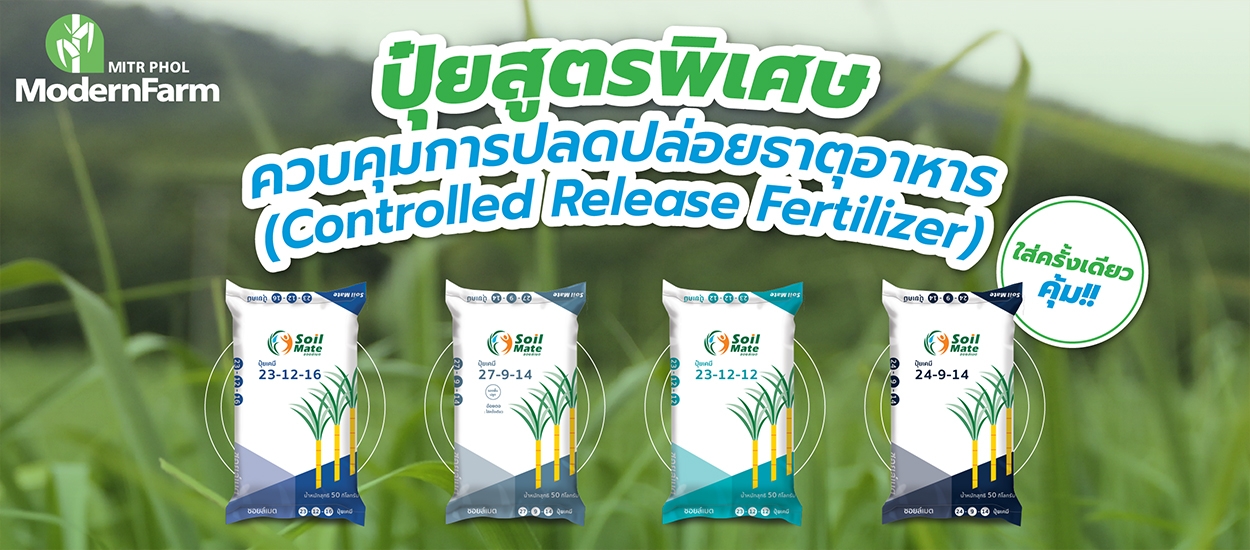 ปุ๋ยสูตรพิเศษ ควบคุมการปลดปล่อยธาตุอาหาร (Controlled Release Fertilizer) ใส่ครั้งเดียวคุ้ม