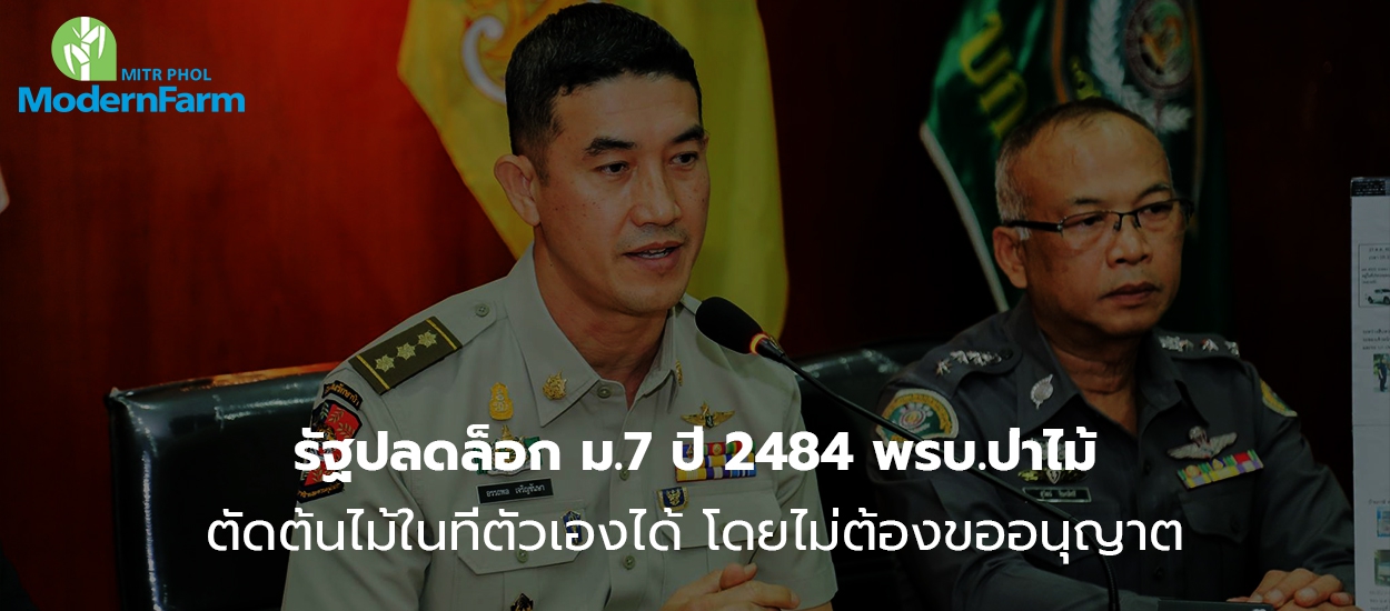 รัฐปลดล็อก ม.7 ปี 2484 พรบ.ป่าไม้ ตัดต้นไม้ในที่ตัวเองได้ โดยไม่ต้องขออนุญาต