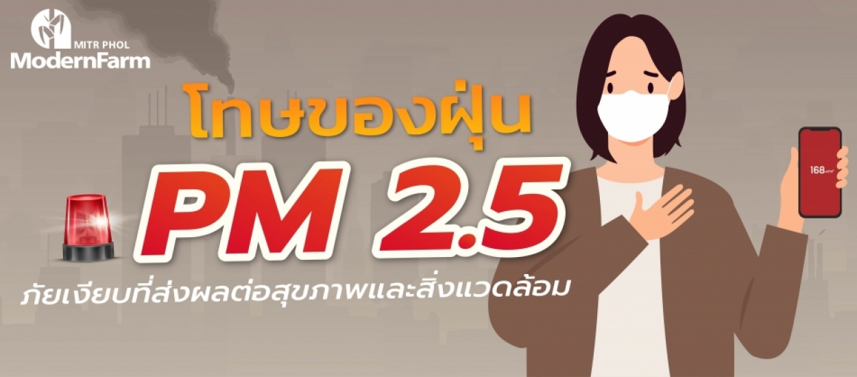 โทษของฝุ่น PM 2.5 ภัยเงียบที่ส่งผลต่อสุขภาพและสิ่งแวดล้อม