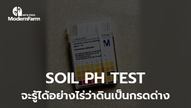 SOIL pH TEST จะรู้ได้อย่างไร่ว่าดินเป็นกรดด่าง