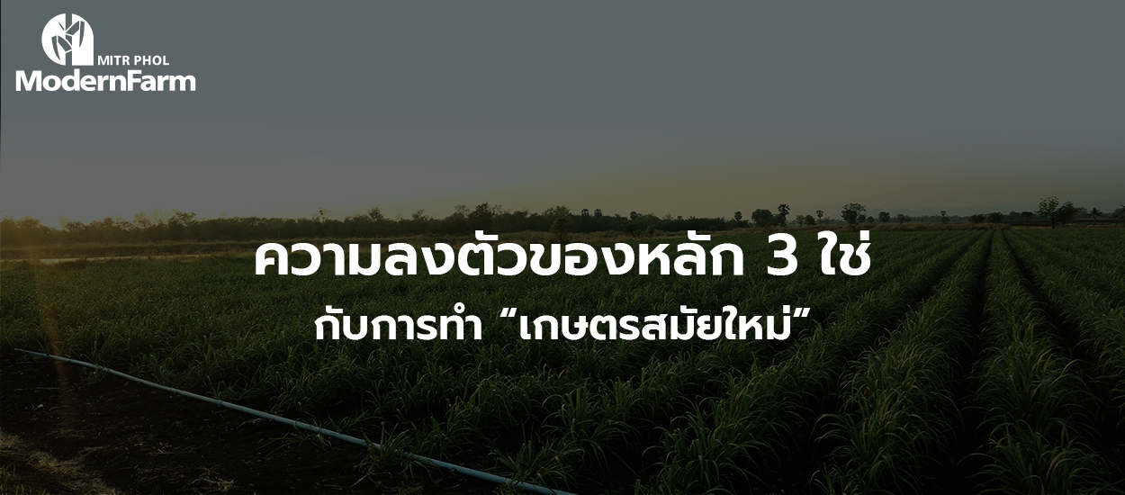 ความลงตัวของหลัก 3 ใช่ กับการทำ “เกษตรสมัยใหม่”