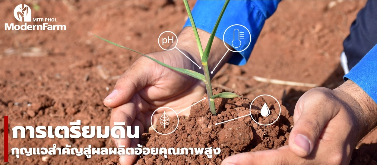 การเตรียมดิน กุญแจสำคัญสู่ผลผลิตอ้อยคุณภาพสูง
