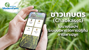 ชาวเกษตร (Chaokaset) โมบายแอป ฯ ระบบบริหารจัดการปฏิทิน การเพาะปลูก