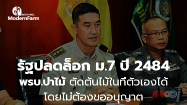 รัฐปลดล็อก ม.7 ปี 2484 พรบ.ป่าไม้ ตัดต้นไม้ในที่ตัวเองได้ โดยไม่ต้องขออนุญาต