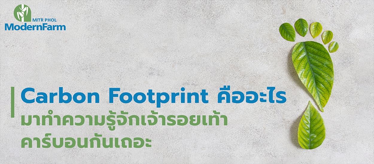 Carbon Footprint คืออะไร มาทำความรู้จักเจ้ารอยเท้าคาร์บอนกันเถอะ