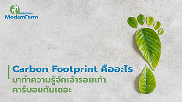 Carbon Footprint คืออะไร มาทำความรู้จักเจ้ารอยเท้าคาร์บอนกันเถอะ