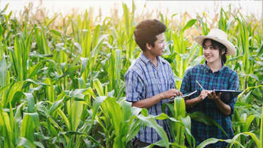 โครงการทุนปริญญาตรีเพื่อเกษตรกรรุ่นใหม่ (Smart Farmer)