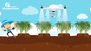 Foliar Fertilizer นวัตกรรมการให้ปุ๋ยทางใบ สำหรับไร่อ้อยยุคใหม่