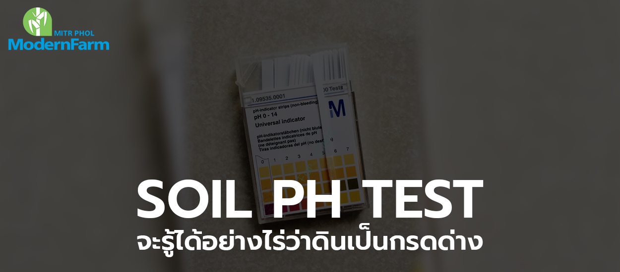 SOIL pH TEST จะรู้ได้อย่างไร่ว่าดินเป็นกรดด่าง