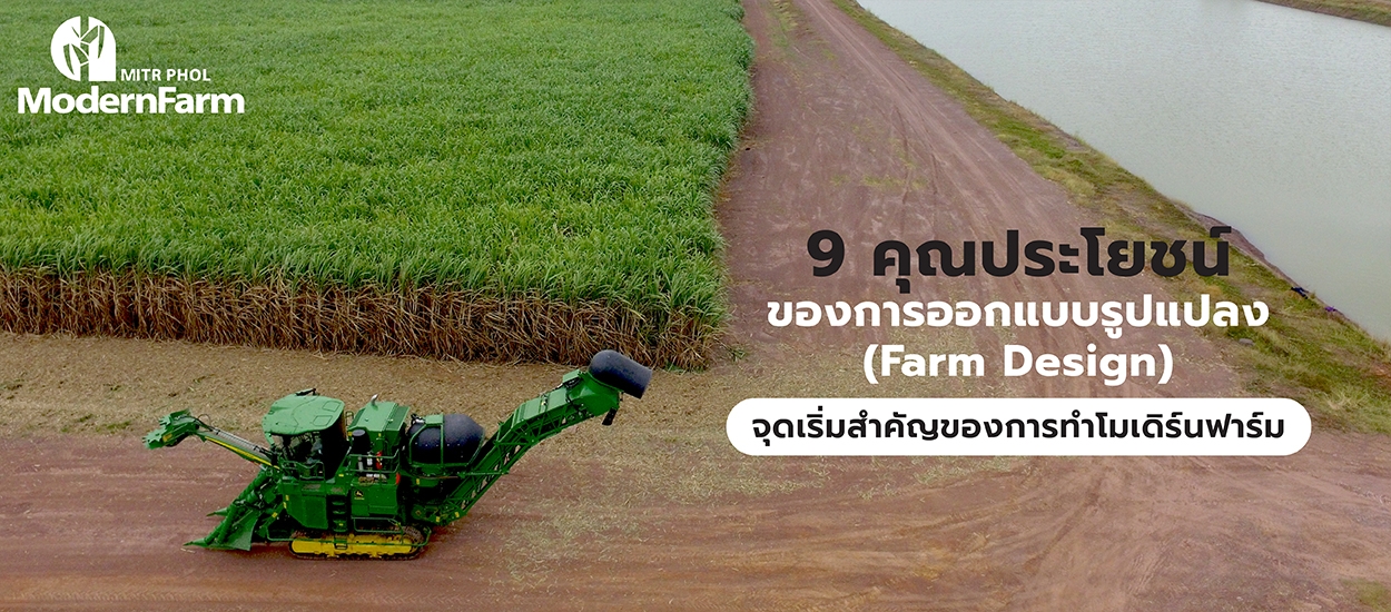 9 คุณประโยชน์ของการออกแบบรูปแปลง (Farm Design) จุดเริ่มสำคัญของการทำโมเดิร์นฟาร์ม 