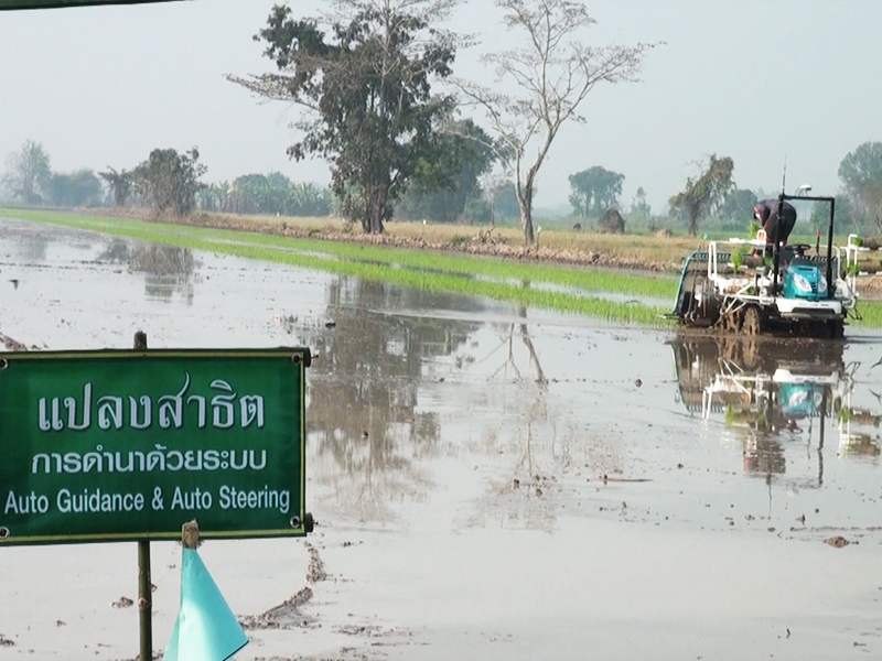 กระทรวงเกษตรฯ--เดินหน้าแปลงทดลอง-003.jpg