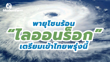 พายุโซนร้อน “ไลออนร็อก” เตรียมเข้าไทยพรุ่งนี้