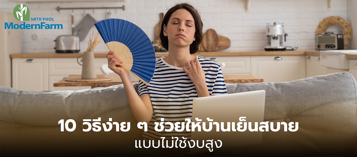 10 วิธีง่าย ๆ ช่วยให้บ้านเย็นสบาย แบบไม่ใช้งบสูง