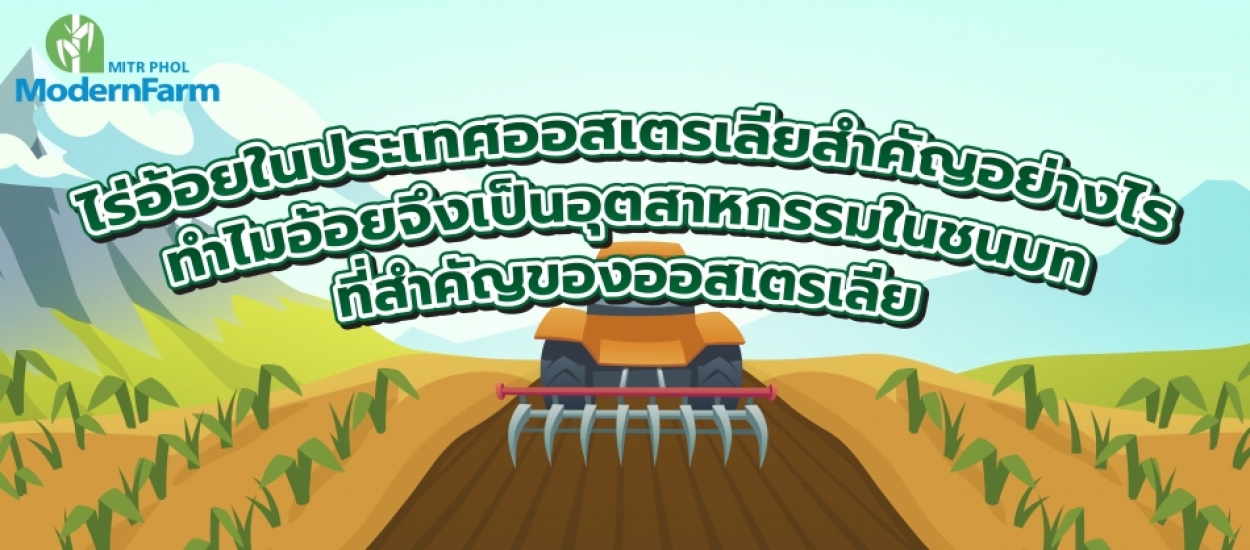 ไร่อ้อยในประเทศออสเตรเลียสำคัญอย่างไร