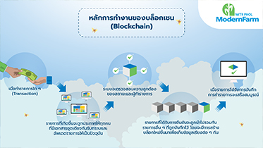 บล็อกเชน (Blockchain) เทคโนโลยีใหม่ สู่เกษตร 4.0