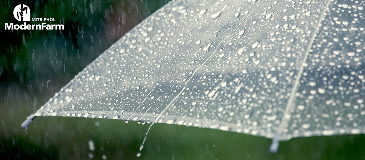 13 มาตรการ ฤดูฝน ปี’65 รัฐบาลเน้นกักเก็บน้ำ