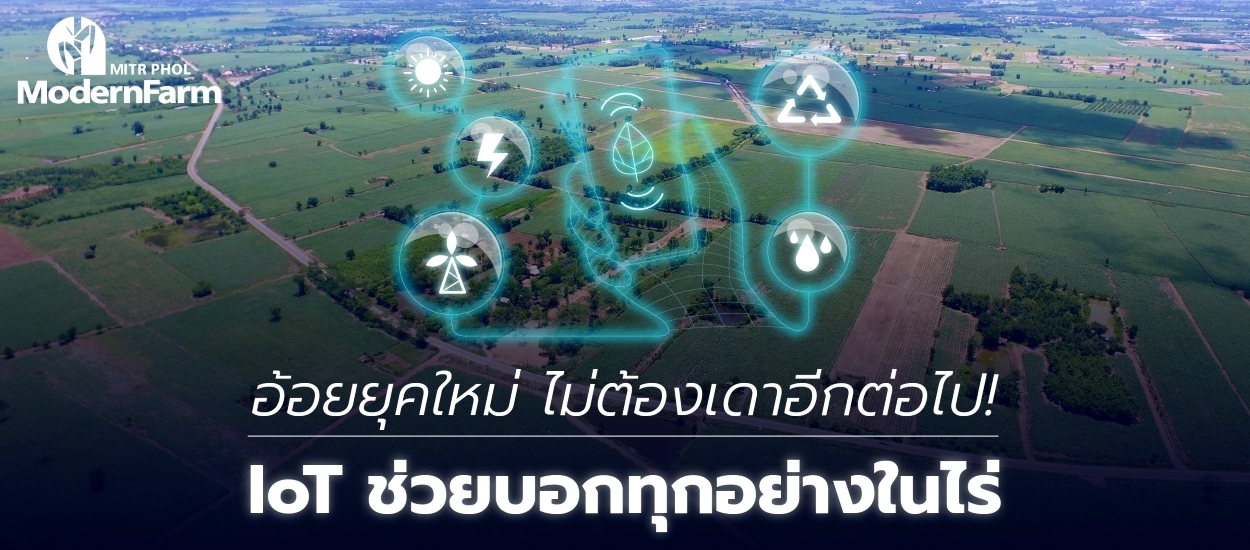 อ้อยยุคใหม่ ไม่ต้องเดาอีกต่อไป! IoT ช่วยบอกทุกอย่างในไร่