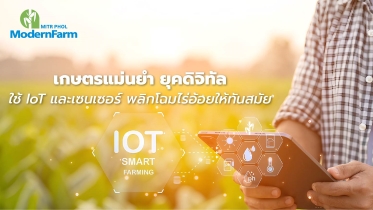 เกษตรแม่นยำ ยุคดิจิทัล: ใช้ IoT และเซนเซอร์ พลิกโฉมไร่อ้อยให้ทันสมัย