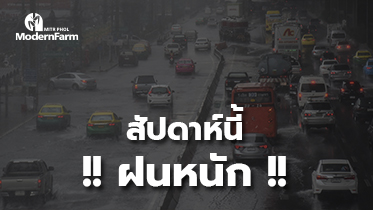 สัปดาห์นี้หนักแน่! กรมอุตุฯ เตือนฝนถล่มตะวันออก-กลาง กรุงไม่รอด อุณหภูมิลดอีก