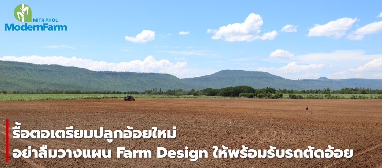รื้อตอเตรียมปลูกอ้อยใหม่ อย่าลืมวางแผน Farm Design ให้พร้อมรับรถตัดอ้อย