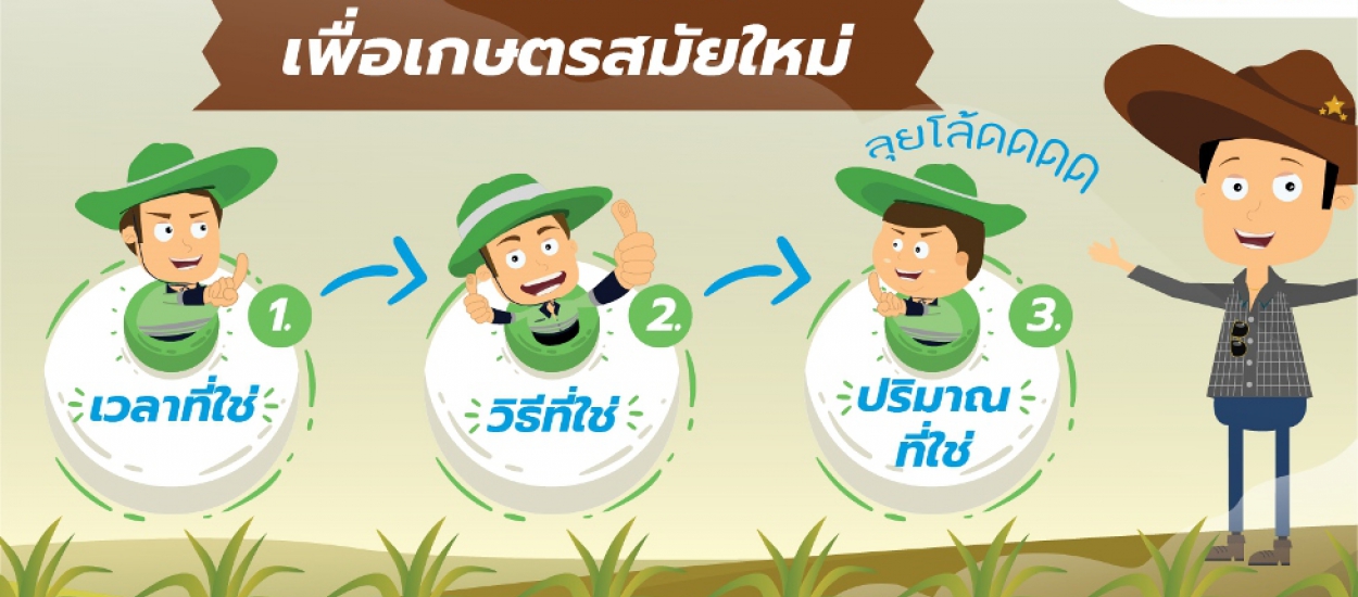 เทคนิค 3 ใช่ เพื่อการบำรุงอ้อยตอ หนุนมิตรชาวไร่ โกยกำไรต่อเนื่อง