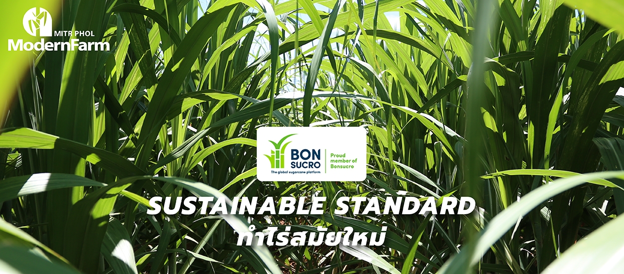 SUSTAINABLE STANDARD ทำไร่สมัยใหม่ต้องได้ BONSUCRO