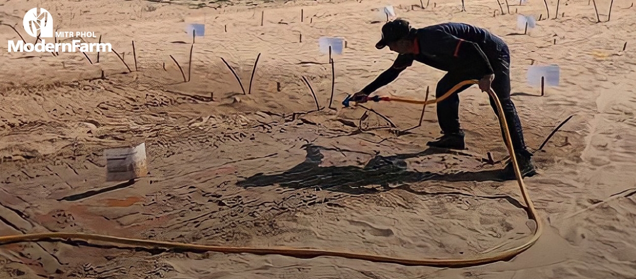 ลิควิด นาโน เคลย์ (Liquid nano clay)  เทคโนโลยีเปลี่ยนทะเลทรายให้อุดมสมบูรณ์