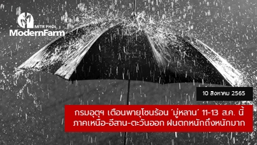 กรมอุตุฯ เตือนพายุโซนร้อน ‘มู่หลาน’ 11-13 ส.ค. 65 นี้ ภาคเหนือ-อีสาน-ตะวันออก ฝนตกหนักถึงหนักมาก