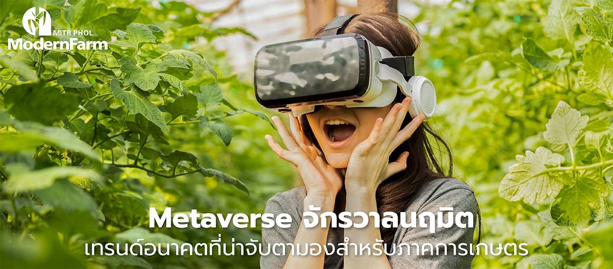  Metaverse จักรวาลนฤมิต เทรนด์อนาคตที่น่าจับตามองสำหรับภาคการเกษตร