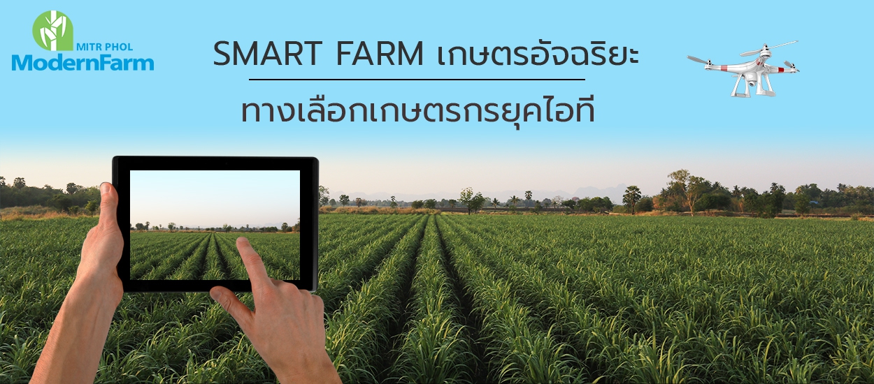 Smart Farm เกษตรอัจฉริยะ ทางเลือกเกษตรกรยุคไอที