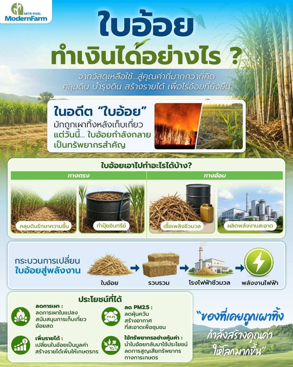 02_Infographic_ใบอ้อยทำเงินได้ยังไง-01.jpg