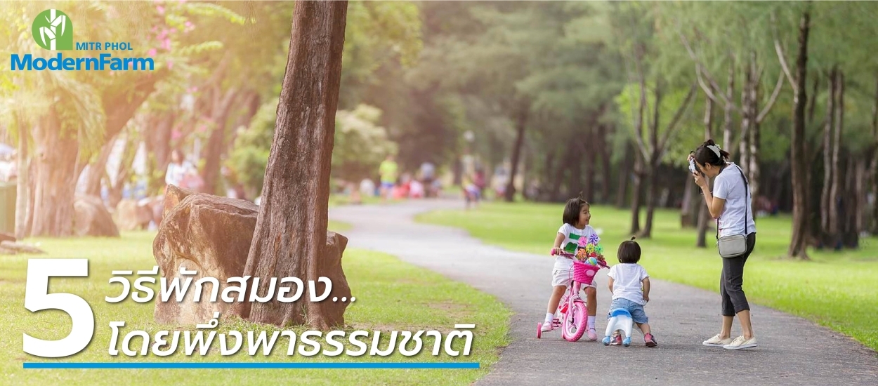 5 วิธีพักสมอง…โดยพึ่งพาธรรมชาติ