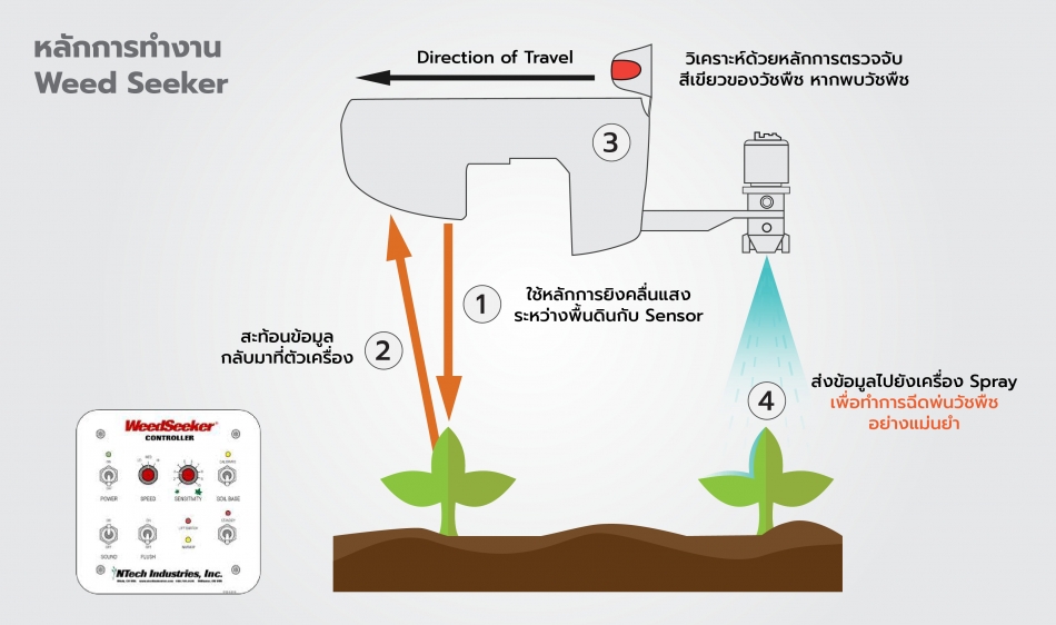 Weed Seeker Process 2.png