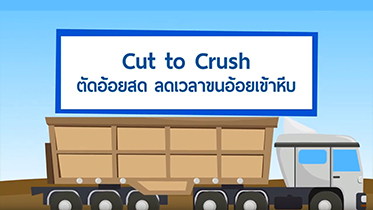 Cut To Crush ตัดอ้อยสด ลดเวลาขนอ้อยเข้าหีบ