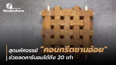 สุดมหัศจรรย์ คอนกรีตชานอ้อย ช่วยลดคาร์บอนได้ถึง 20 เท่า