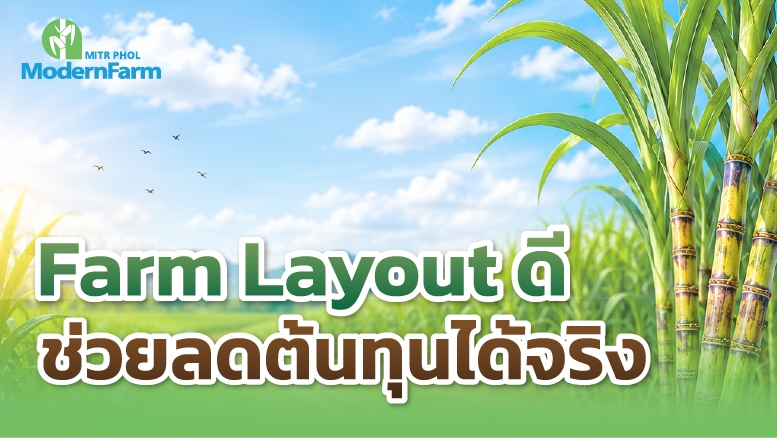 Farm Layout ดี ช่วยลดต้นทุนได้จริง